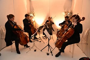 EMPORIA DOMA sprejem 16 - Kvintet čelistov priznane slovenske čelistke Maruše Turjak Bogataj - foto Peter Irman